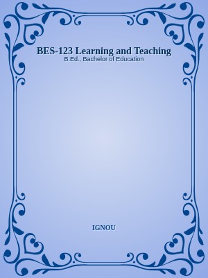 BES-123 Learning and Teaching